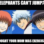 troll anime gintama | ELEPHANTS CAN'T JUMP? I THOUGHT YOUR MOM WAS EXERCISING? | image tagged in troll anime gintama | made w/ Imgflip meme maker