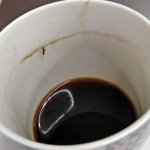 Coffee mosquito