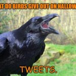 Daily Bad Dad Joke Oct 31 2022 | WHAT DO BIRDS GIVE OUT ON HALLOWEEN? TWEETS. | image tagged in raven | made w/ Imgflip meme maker