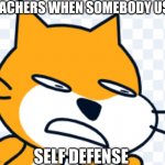 the | TEACHERS WHEN SOMEBODY USES; SELF DEFENSE | image tagged in why | made w/ Imgflip meme maker