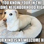 Homophobic dog 2 | YOU KNOW YOUR IN THE WRONG NEIGHBORHOOD RIGHT? YOUR KIND IS'NT WELCOME HERE | image tagged in homophobic dog 2 | made w/ Imgflip meme maker