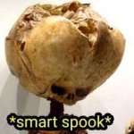 Smart spook