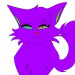 Purple cat mf