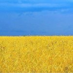 wheat field + sky = Ucraina