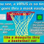 Masks, Nets & Mosquitos
