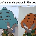 father where are my balls? | POV: You're a male puppy in the vet's office | image tagged in lost privileges | made w/ Imgflip meme maker