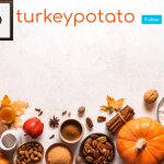 thanksgiving temp