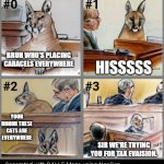 Big Floppa in Court | HISSSSS; BRUH WHO'S PLACING CARACELS EVERYWHERE; YOUR HONOR THESE CATS ARE EVERYWHERE; SIR WE'RE TRYING YOU FOR TAX EVAISION. | image tagged in big floppa in court | made w/ Imgflip meme maker