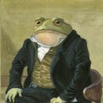 funny suit frog