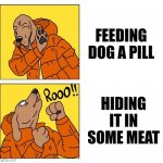 drake dog | FEEDING DOG A PILL; HIDING IT IN SOME MEAT | image tagged in drake dog | made w/ Imgflip meme maker