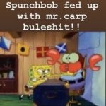 spunchbob fed up with mr carp buleshit
