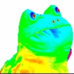 frog Meme Generator - Imgflip