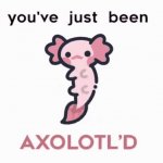 axlotl dance GIF Template