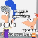 Just wait for the BITBC episode when Strawberry finally comes out | STRAWBERRY BEING CANONICALLY GAY; WILDBRAIN; BUCKLEBERRY | image tagged in not yet ferb,strawberry shortcake berry in the big city,strawberry shortcake | made w/ Imgflip meme maker