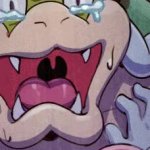 CRYING BOWSER GIF Template