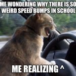 cat driving car | ME WONDERING WHY THERE IS SO MANY WEIRD SPEED BUMPS IN SCHOOL ZONE:; ME REALIZING ^ | image tagged in cat driving car | made w/ Imgflip meme maker