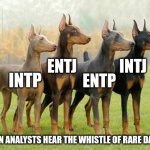 Call an analyst | ENTJ; INTJ; INTP; ENTP; WHEN ANALYSTS HEAR THE WHISTLE OF RARE DATA... | image tagged in doberman colours,mbti,myers briggs,personality,memes,dogs | made w/ Imgflip meme maker