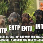 Innocent analysts | INTJ; ENTP; ENTJ; INTP; INNOCENT BEFORE THEY GROW UP AND REALISE THE WORLD IS MAJORITY SENSORS AND THEY WILL NEVER FIT IN. | image tagged in doberman puppies,mbti,myers briggs,dogs,personality,memes | made w/ Imgflip meme maker