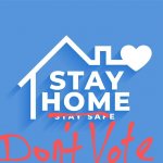 Stay home, don't vote