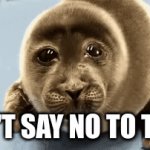 Poor seal | CAN'T SAY NO TO THIS | image tagged in gifs,seal | made w/ Imgflip video-to-gif maker
