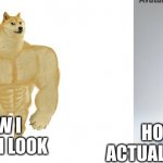 snap back to reality  pt2 | HOW I THINK I LOOK; HOW I ACTUALLY LOOK | image tagged in strong doge weak doge | made w/ Imgflip meme maker