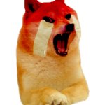 Crying doge