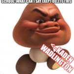maui goomba | SCHOOL: WHAT CAN I SAY EXEPT DELETE THIS; <--KADEN WADLINGTON | image tagged in maui goomba | made w/ Imgflip meme maker