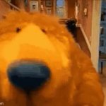 This bear can smell GIF Template