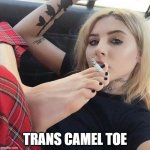 I've never seen one before... | TRANS CAMEL TOE | image tagged in trans camel toe | made w/ Imgflip meme maker