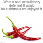 hot peppers | What a cool evolutionary defense! It would be a shame if we enjoyed it. | image tagged in hot peppers | made w/ Imgflip meme maker
