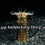 who up bobbiting they worm meme