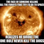 Smiling Sun | THE FACE OF SOMEONE KILLING ALL THE FURRYS THAT TRY TO GO TO SPACE; REALIZES HE BROKE THE ONE RULE NEVER KILL THE DOGS | image tagged in smiling sun,so true memes | made w/ Imgflip meme maker