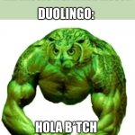 That Bird's Been Pumping Iron | DUOLINGO:; ME: MISSES A SPANISH LESSON; HOLA B*TCH | image tagged in buff duolingo,duolingo,spanish,lesson,duolingo bird,buff | made w/ Imgflip meme maker