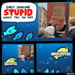 Bruh :/ | IMGFLIPPERS; IMGFLIPPERS | image tagged in only someone stupid srgrafo,imgflippers,imgflip,imgflip users,imgflip community | made w/ Imgflip meme maker