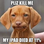 MFW WELP | PLIZ KILL ME; MY IPAD DIED AT 11% | image tagged in mfw welp | made w/ Imgflip meme maker