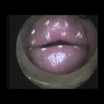 Lips trombone JPP GIF Template