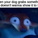 What da dog doin? | when your dog grabs something and doesn't wanna show it to you: | image tagged in nick wilde,memes,funny memes | made w/ Imgflip meme maker