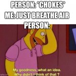jUsT bReAtHe AiR gUyS | ME: JUST BREATHE AIR; PERSON: *CHOKES*; PERSON: | image tagged in my goodness what an idea why didnt i think of that | made w/ Imgflip meme maker
