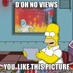 homer simpson | D’OH NO VIEWS; YOU  LIKE THIS PICTURE | image tagged in homer simpson | made w/ Imgflip meme maker