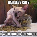 Well... they save money, I guess | HAIRLESS CATS; COME WITH BUILT-IN CHEMOTHERAPY | image tagged in hairless cat hoarding precious coins,memes | made w/ Imgflip meme maker