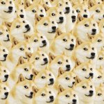 Wave of Doges