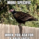 “Bald Eagle”(sic) | SOME  OF  YOU
NEED  TO  BE 
MORE  SPECIFIC; WHEN  YOU  ASK FOR 
A  BALD  EAGLE
AS  YOUR  “SPIRIT-ANIMAL” | image tagged in bald eagle sic | made w/ Imgflip meme maker