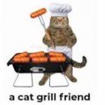 Cat grill friend