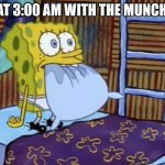Spongebob Eating Pillow in Bed | ME AT 3:00 AM WITH THE MUNCHIES: | image tagged in spongebob eating pillow in bed | made w/ Imgflip meme maker