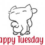 HAPPY TUESDAY CAT GI GIF Template