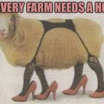 Farmers Only | EVERY FARM NEEDS A HO | image tagged in farmers only | made w/ Imgflip meme maker