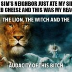 not sure if this actually counts as a rant | MY SIM'S NEIGHBOR JUST ATE MY SIM'S GRILLED CHEESE AND THIS WAS MY REACTION: | image tagged in the lion the witch and the audacity of this bitch,sims 4,sims,the sims,rant | made w/ Imgflip meme maker