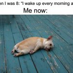 True tbh | Me when I was 8: “I wake up every morning at 6am!”; Me now: | image tagged in tired dog,memes,funny,pain,tired,relatable memes | made w/ Imgflip meme maker