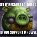 ha ha funny but I forgot to laugh | HA GET IT BECAUSE I DIDNT LAUGH; ALSO YOU SUPPORT MRDWELLER | image tagged in realistic angry birds,angry birds,angry birds pig | made w/ Imgflip meme maker