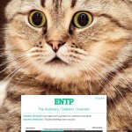 MBTI Coaches | MBTI COACHES | image tagged in shocked cat,entp,myers briggs,mbti,personality,results | made w/ Imgflip meme maker